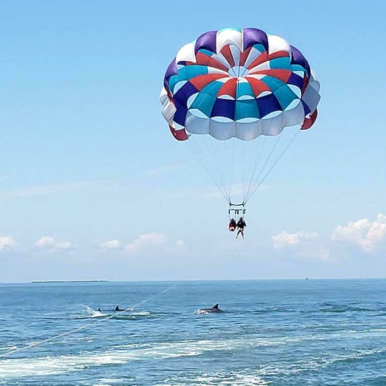 Ocracoke Parasail Dolphin